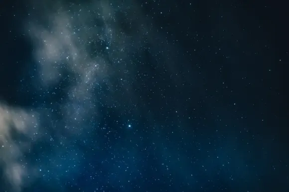 קזינו וויקד ג'קפוטס תמיכה